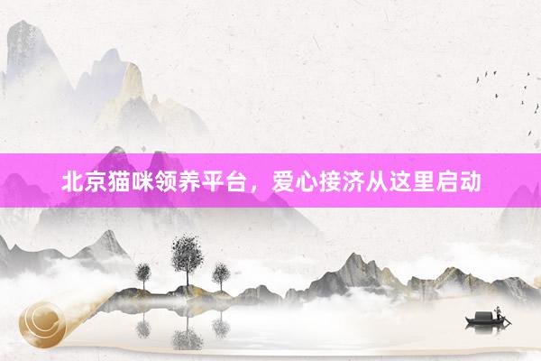 北京猫咪领养平台，爱心接济从这里启动